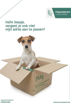 Huisdieren_Affiche_Vlaanderen
